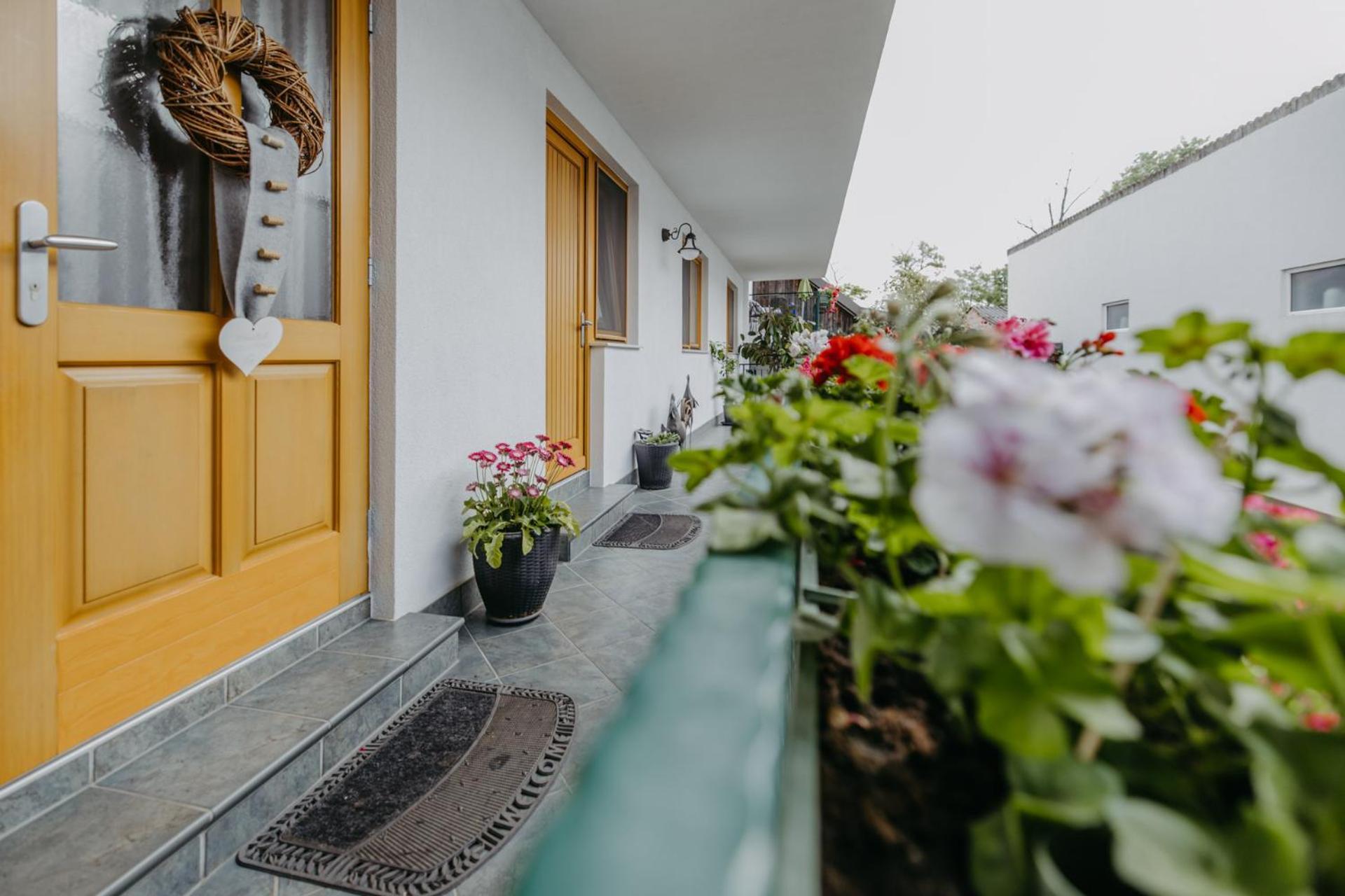 Weingut Und Gaestehaus Salzl Illmitz Exteriér fotografie